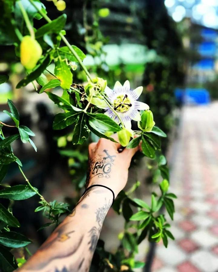 Hotel Lotus Ureki Εξωτερικό φωτογραφία